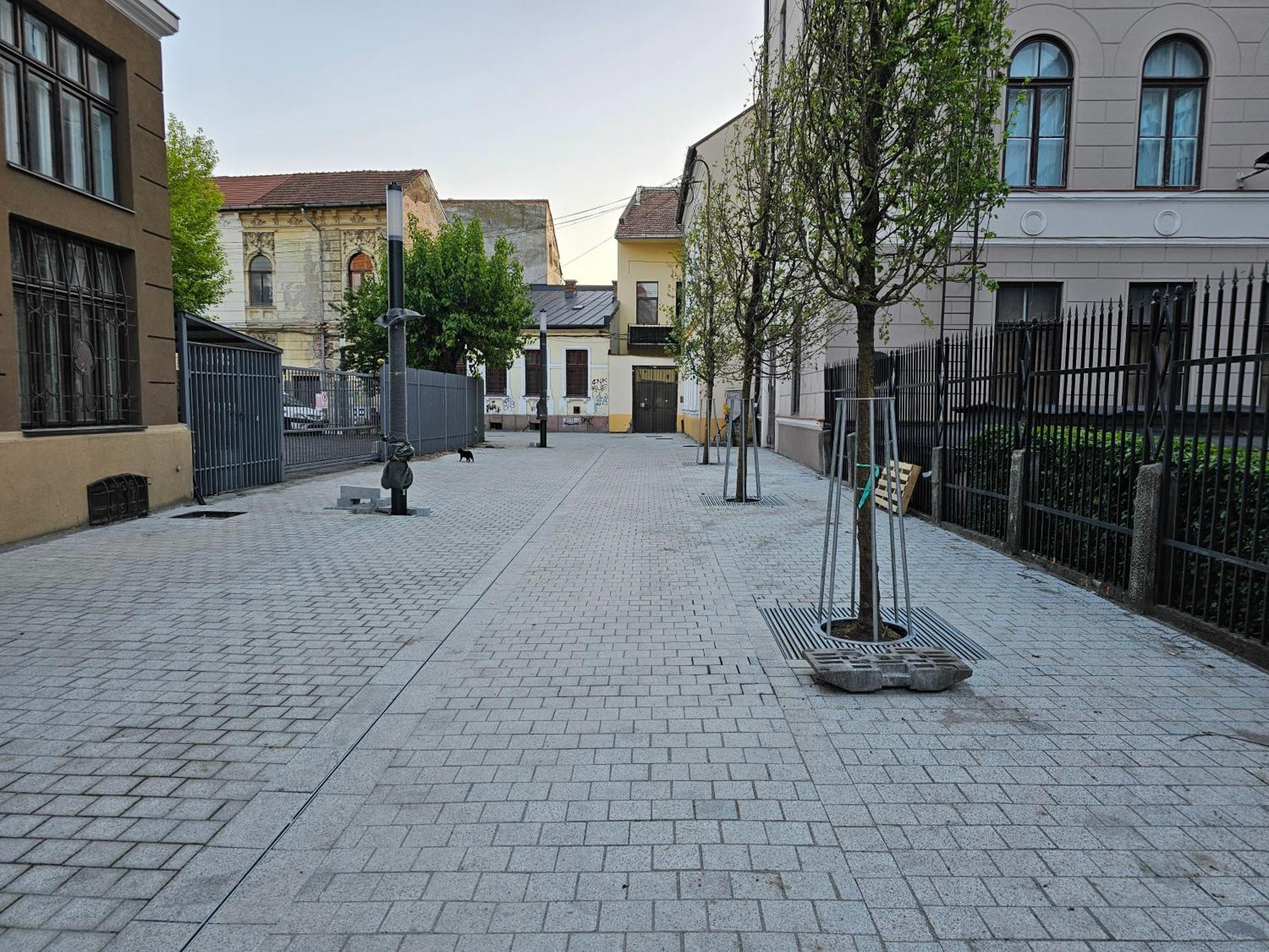 Muzeului Studio Cluj-Napoca Exterior photo